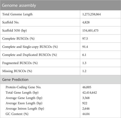 The chromosome-level genome assembly of lance asiabell (Codonopsis lanceolata), a medicinal and vegetable plant of the Campanulaceae family